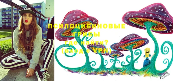 гидропоника Нязепетровск