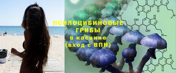 гидропоника Нязепетровск