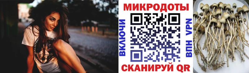 Псилоцибиновые грибы ЛСД  Купить  Томилино 